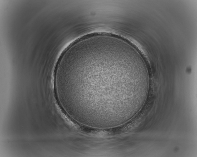 X0000097460791200802291235