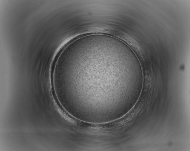 X0000097460792200802291235