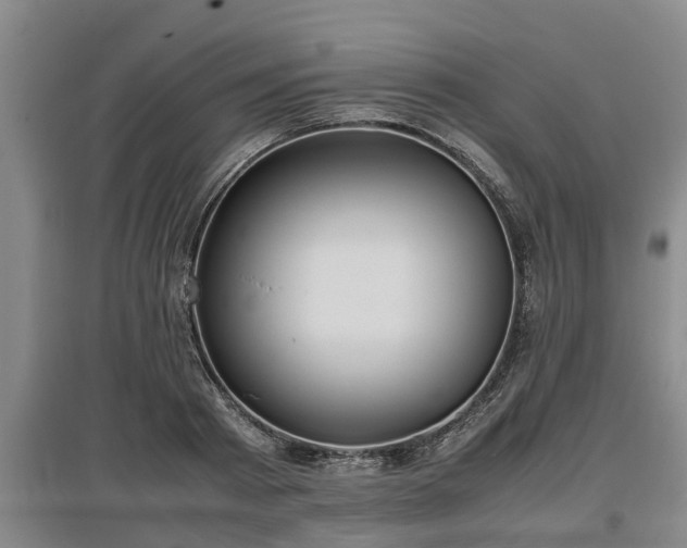 X0000097460793200802291235