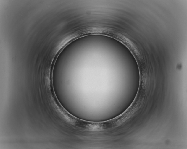 X0000097460794200802291235