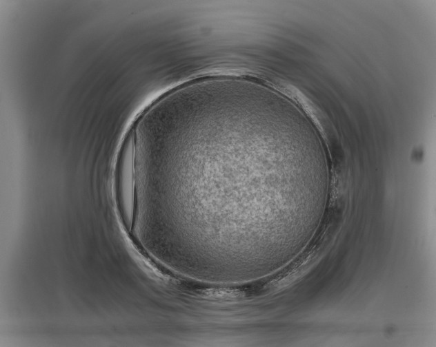 X0000097460795200802291235