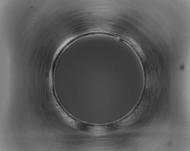 X0000097460796200802291235