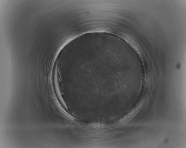 X0000097460797200802291235