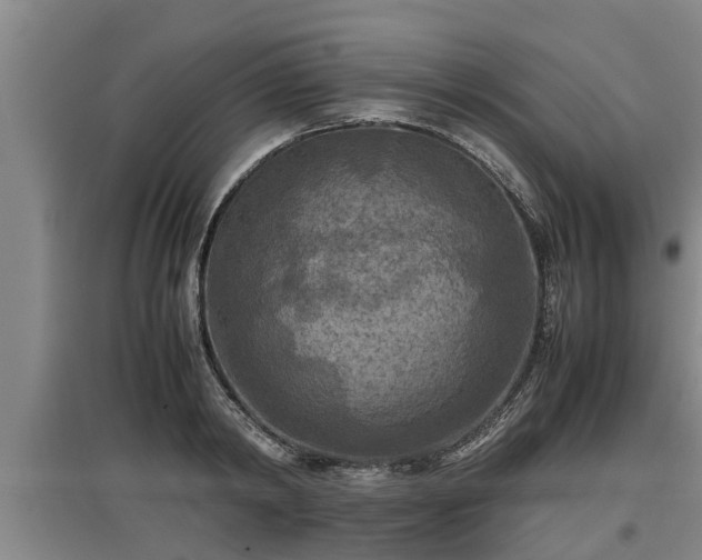 X0000097460798200802291235