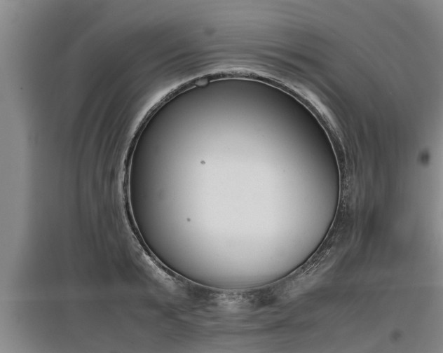 X0000097460799200802291235