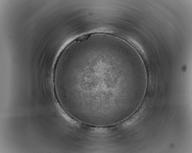 X0000097460800200802291235