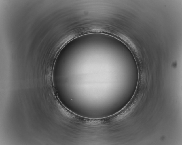 X0000097460801200802291235