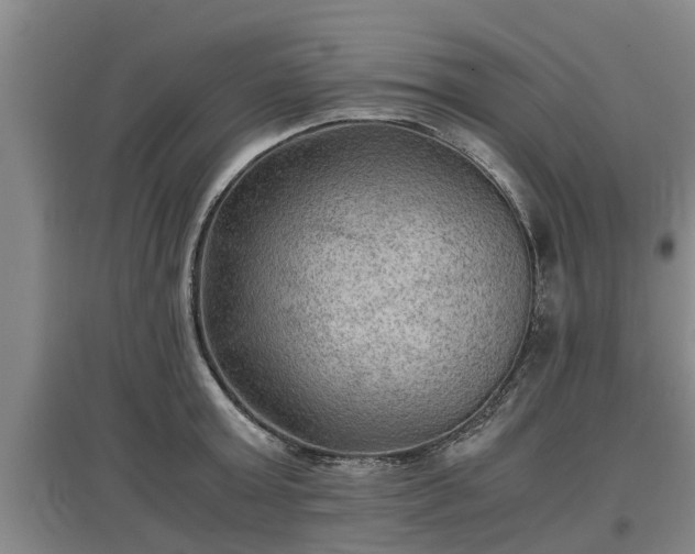 X0000097460803200802291235