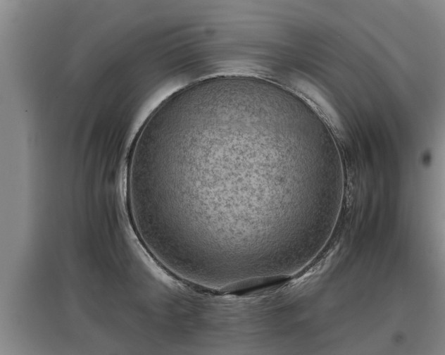 X0000097460804200802291235