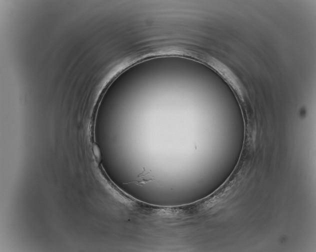 X0000097460805200802291234