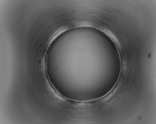 X0000097460806200802291234