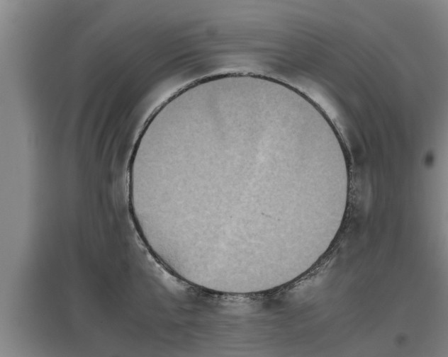 X0000097460807200802291234