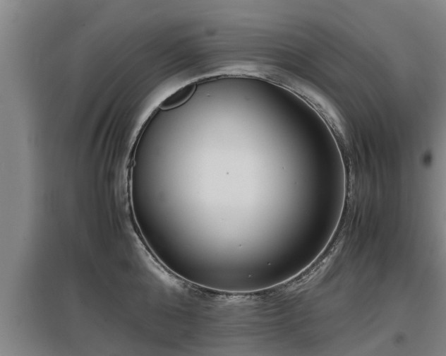 X0000097460808200802291234