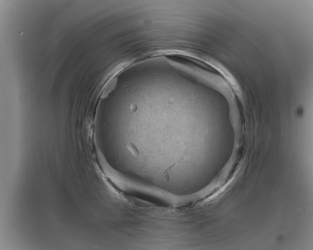 X0000097460809200802291234