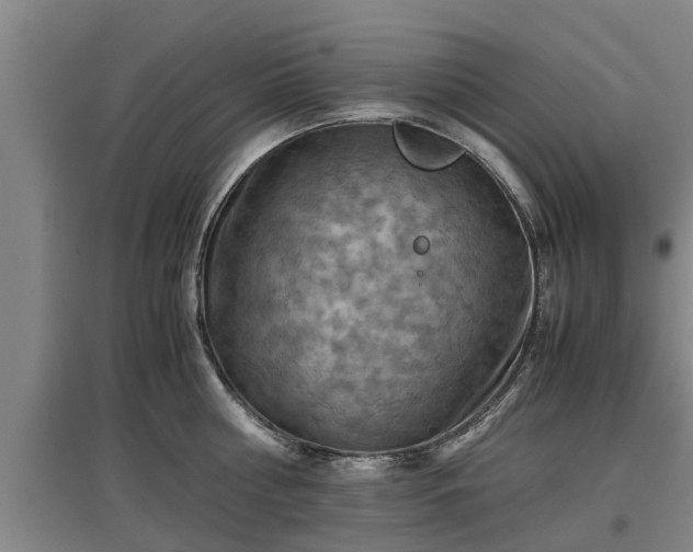 X0000097460810200802291234