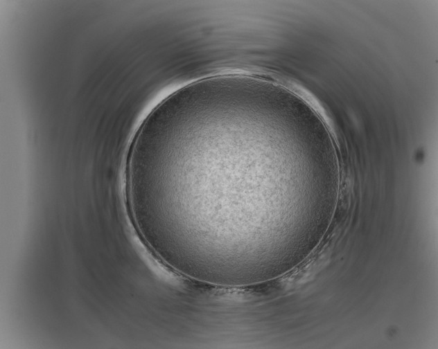 X0000097460811200802291234