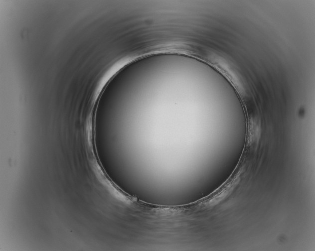 X0000097460812200802291234