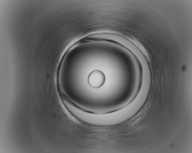 X0000097460813200802291234