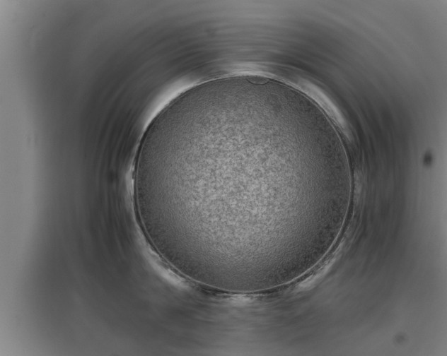 X0000097460814200802291234