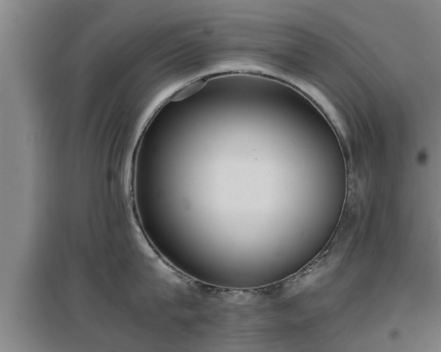 X0000097460815200802291234