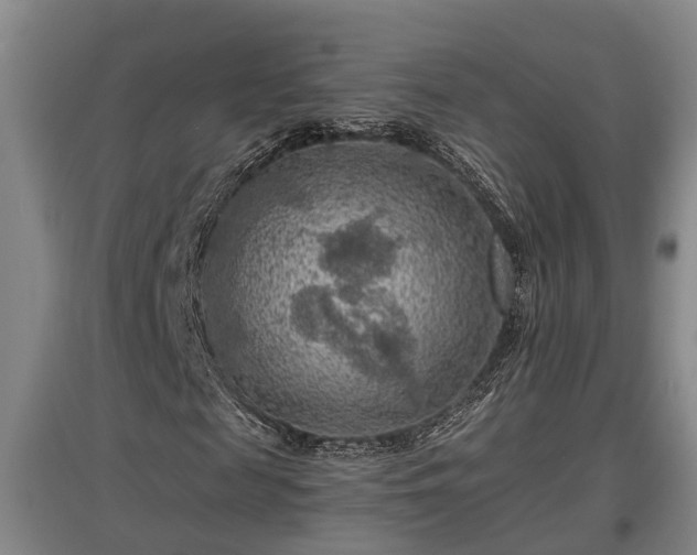 X0000097460817200802291234