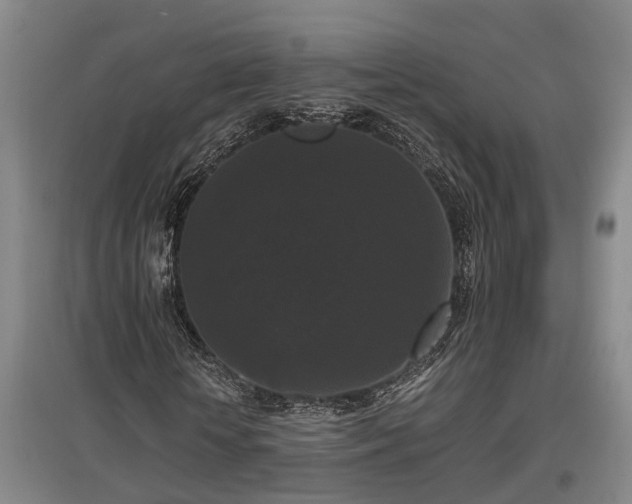 X0000097460818200802291234