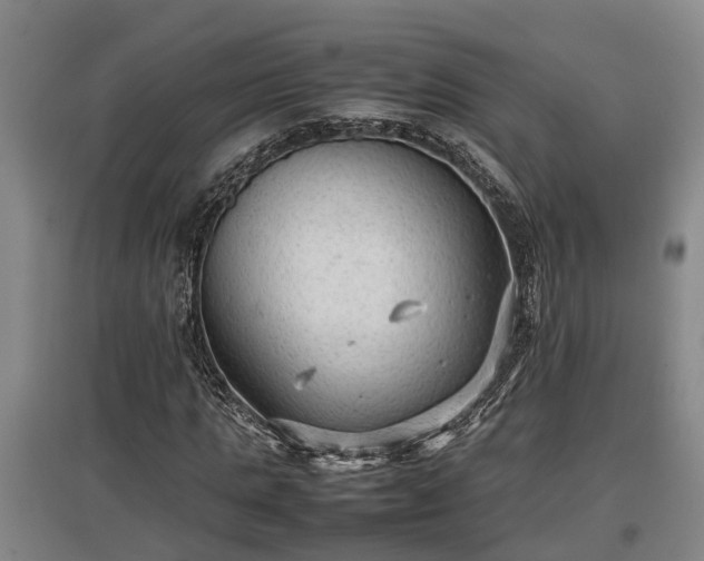 X0000097460821200802291234