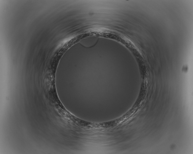 X0000097460822200802291234