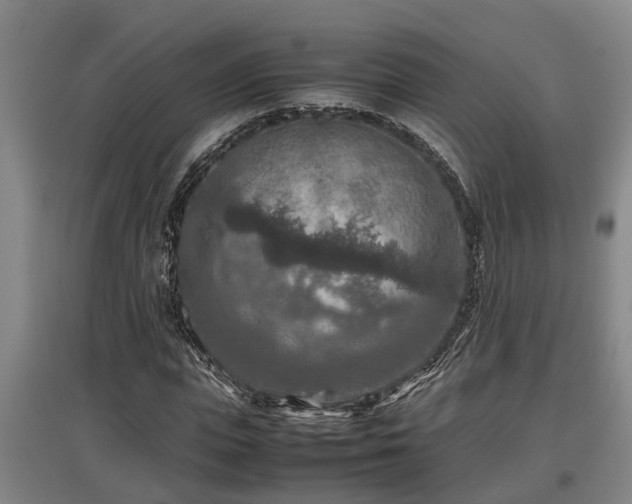 X0000097460823200802291234