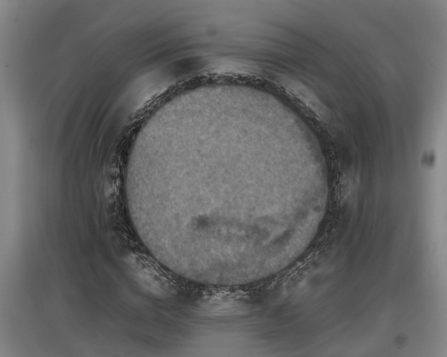 X0000097460824200802291234