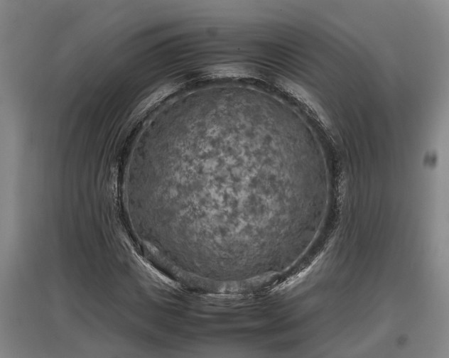 X0000097460825200802291234