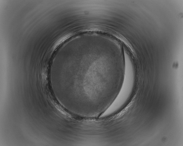 X0000097460826200802291234