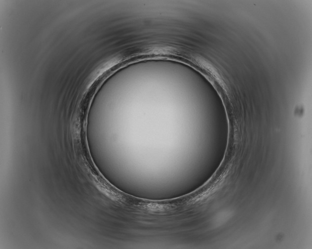 X0000097460827200802291234