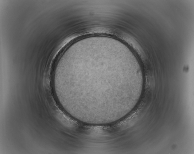 X0000097460828200802291234