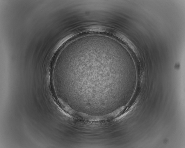 X0000097460829200802291234