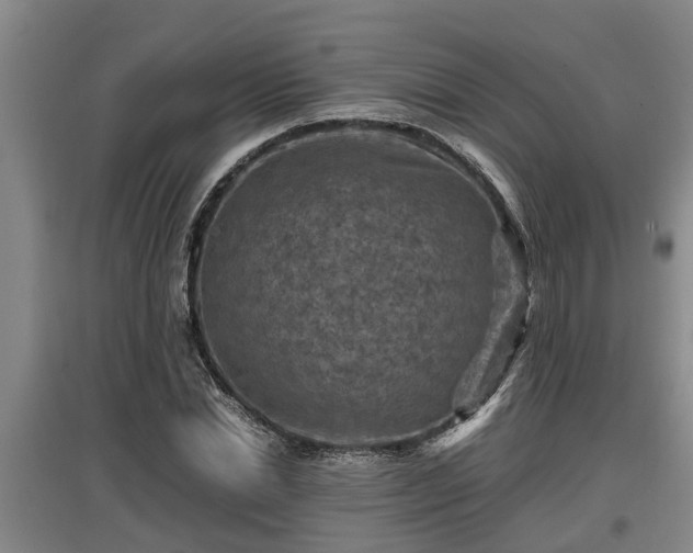 X0000097460830200802291234