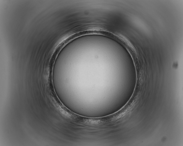 X0000097460831200802291234