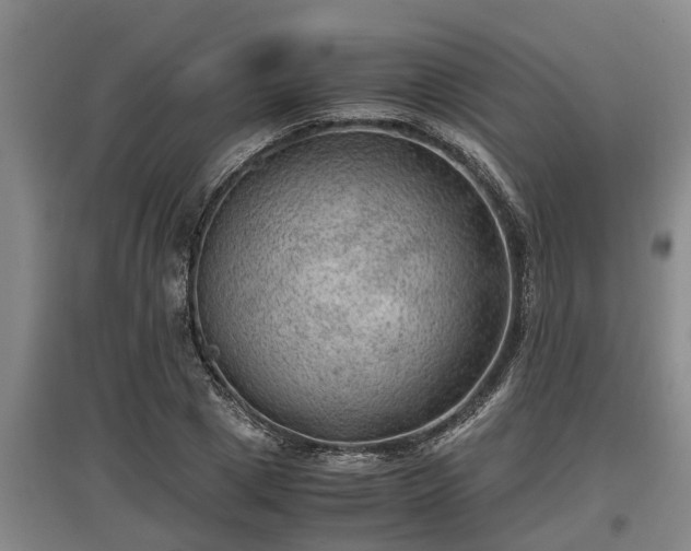 X0000097460833200802291234