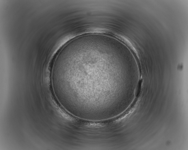 X0000097460835200802291234