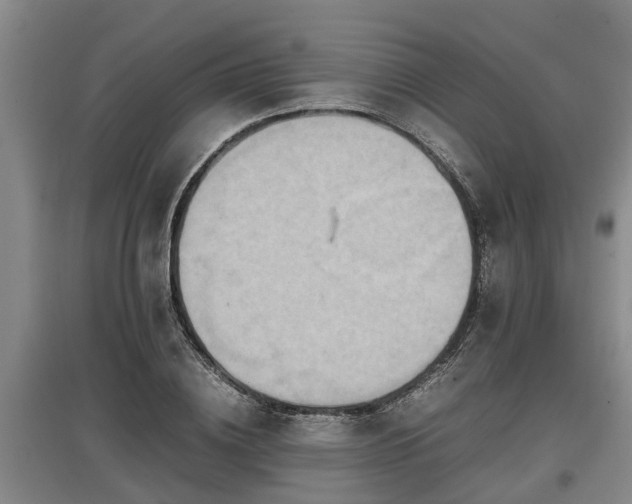 X0000097460836200802291234