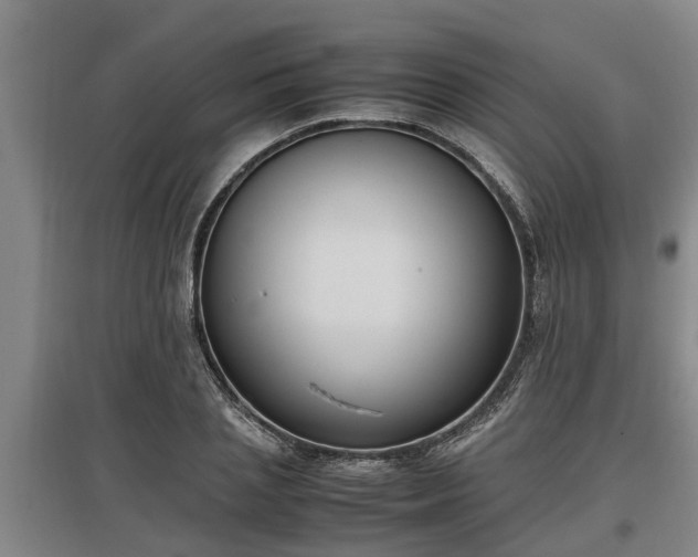 X0000097460837200802291234