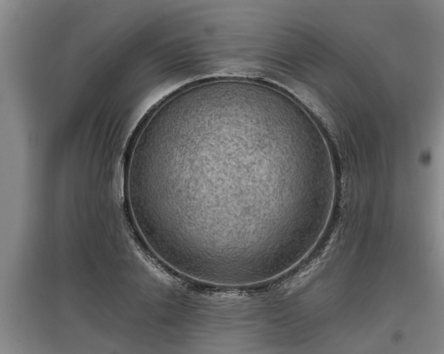 X0000097460838200802291234