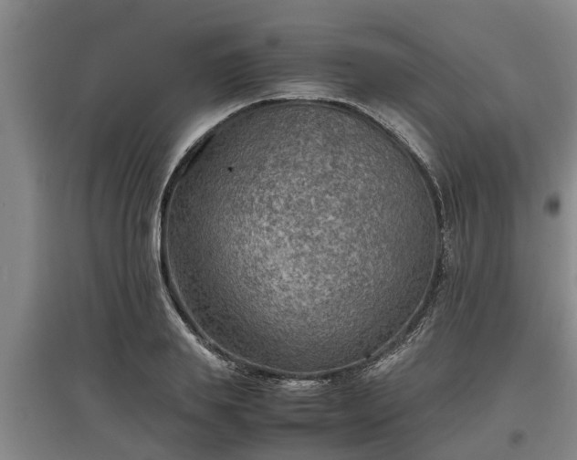 X0000097460839200802291234