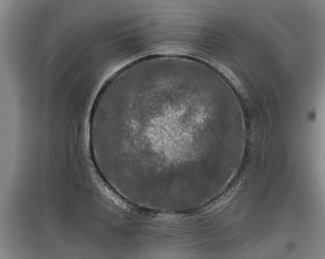 X0000097460840200802291234