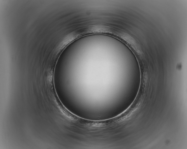 X0000097460841200802291234