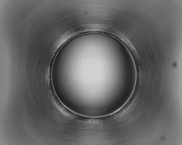 X0000097460842200802291234