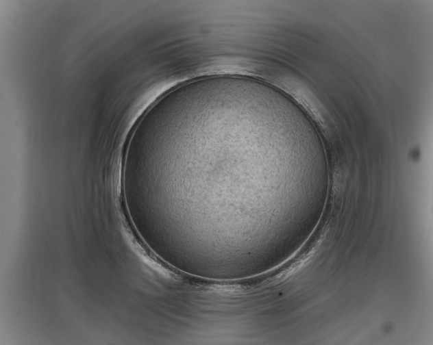 X0000097460844200802291234