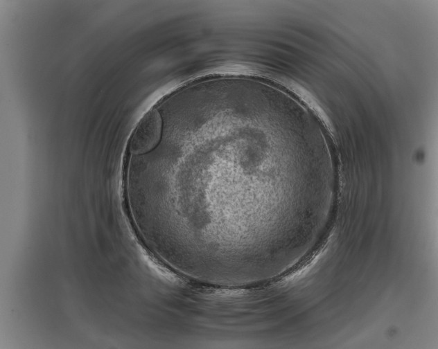 X0000097460845200802291234