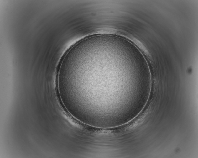 X0000097460846200802291234