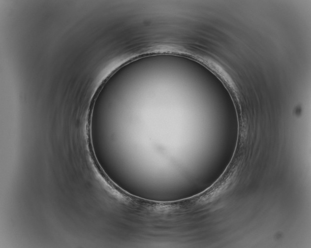 X0000097460847200802291234